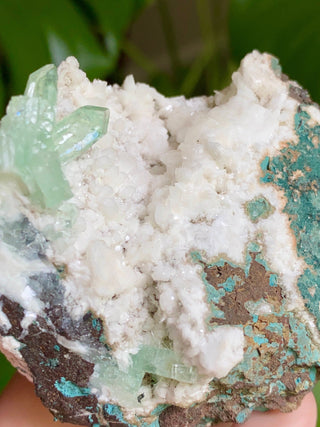 Green Fluorapophyllite Glassy Sharp Terminations | Old Stock 1980’s from Curious Muse Crystals Tagged with clear, Crystal healing, genuine crystal, green, hide-notify-btn, natural mineral, raw mineral, reiki crystal
