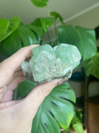 Green Fluorapophyllite Cubic Terminations on Stilbite | Old Stock 1980’s from Curious Muse Crystals Tagged with clear, Crystal healing, genuine crystal, green, hide-notify-btn, natural mineral, raw mineral, reiki crystal