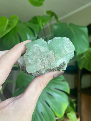 Green Fluorapophyllite Cubic Terminations on Stilbite | Old Stock 1980’s from Curious Muse Crystals Tagged with clear, Crystal healing, genuine crystal, green, hide-notify-btn, natural mineral, raw mineral, reiki crystal