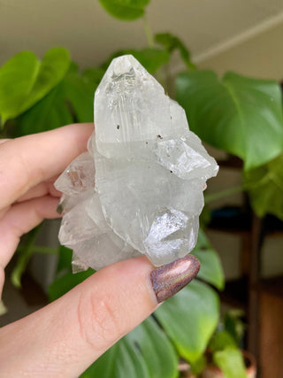 Glassy Clear Fluorapophyllite Termination Cluster | Old Stock 1980’s from Curious Muse Crystals Tagged with apophyllite, clear, Crystal healing, fine mineral, genuine crystal, hide-notify-btn, natural mineral, raw mineral, reiki crystal, zeolite