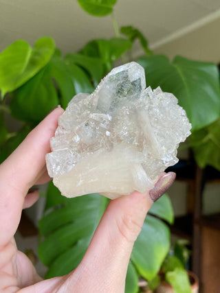 Glassy Clear Fluorapophyllite and Stilbite Cluster | Old Stock 1980’s from Curious Muse Crystals Tagged with apophyllite, clear, Crystal healing, fine mineral, genuine crystal, hide-notify-btn, natural mineral, raw mineral, reiki crystal, stilbite, zeolite