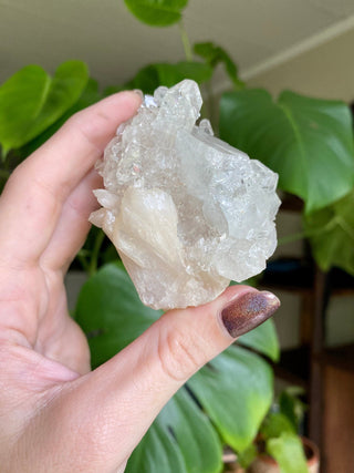 Glassy Clear Fluorapophyllite and Stilbite Cluster | Old Stock 1980’s from Curious Muse Crystals Tagged with apophyllite, clear, Crystal healing, fine mineral, genuine crystal, hide-notify-btn, natural mineral, raw mineral, reiki crystal, stilbite, zeolite