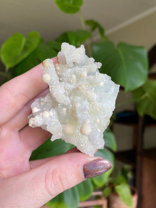 Chalcedony Stalactites with Stilbite Spherical Clusters | Old Stock 1980’s from Curious Muse Crystals Tagged with chalcedony, crystal energy, fine mineral, hide-notify-btn, india, raw, reiki healing, stilbite, zeolite