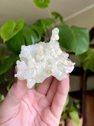 Chalcedony Stalactites with Stilbite Spherical Clusters | Old Stock 1980’s from Curious Muse Crystals Tagged with chalcedony, crystal energy, fine mineral, hide-notify-btn, india, raw, reiki healing, stilbite, zeolite