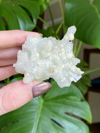Chalcedony Stalactites with Stilbite Spherical Clusters | Old Stock 1980’s from Curious Muse Crystals Tagged with chalcedony, crystal energy, fine mineral, hide-notify-btn, india, raw, reiki healing, stilbite, zeolite