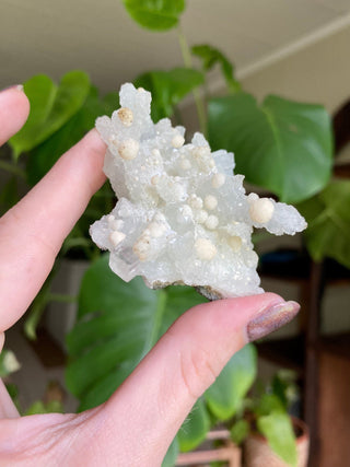 Chalcedony Stalactites with Stilbite Spherical Clusters | Old Stock 1980’s from Curious Muse Crystals Tagged with chalcedony, crystal energy, fine mineral, hide-notify-btn, india, raw, reiki healing, stilbite, zeolite