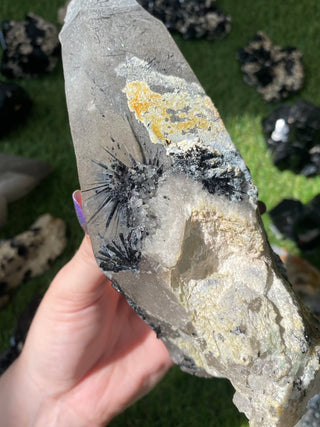 Quartz with Tourmaline from Madagascar - High Grade Collector Mineral from Curious Muse Crystals Tagged with black, clear, clear quartz, crystal energy, fine mineral, hide-notify-btn, inclusion quartz, Madagascar, quartz, reiki healing, tourmaline