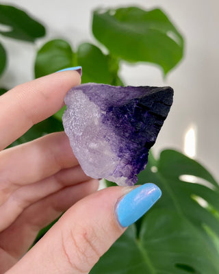 Múzquiz Fluorite from Esperanza, Mexico from Curious Muse Crystals Tagged with fluorescence, fluorite, hide-notify-btn, mexico, muzquiz fluorite, purple, raw crystal, uv reactive