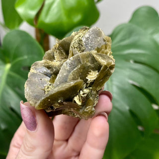 Siderite with Chalcopyrite from Kaiwu Mine, China from Curious Muse Crystals Tagged with brown, chalcopyrite, hide-notify-btn, raw mineral, siderite, yellow