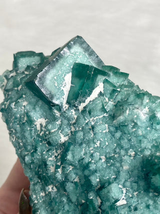 Cubic Green Fluorite with Phantoms from Madagascar from Curious Muse Crystals Tagged with crystal energy, cubic, fluorescence, fluorite, green, hide-notify-btn, madagascar, reiki healing
