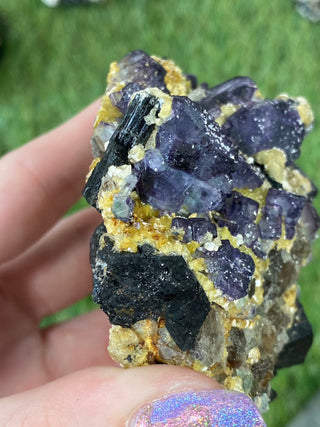 Erongo Fluorite with Tourmaline - High Grade from Curious Muse Crystals Tagged with black, erongo, fine mineral, fluorite, hide-notify-btn, namibia, purple, raw, tourmaline