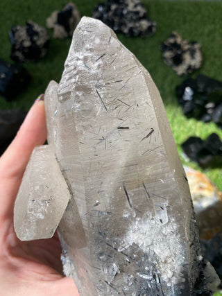 Quartz with Tourmaline from Madagascar - High Grade Collector Mineral from Curious Muse Crystals Tagged with black, clear, clear quartz, crystal energy, fine mineral, hide-notify-btn, inclusion quartz, Madagascar, quartz, reiki healing, tourmaline