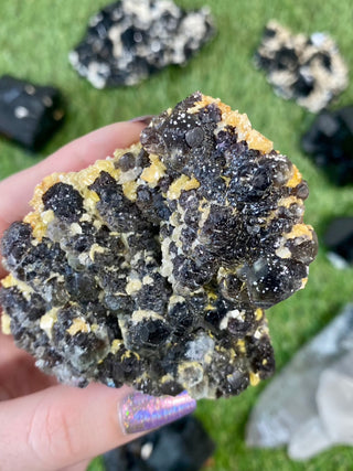 Erongo Fluorite with Tourmaline - High Grade from Curious Muse Crystals Tagged with black, erongo, fine mineral, fluorite, hide-notify-btn, namibia, purple, raw, tourmaline