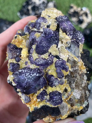 Erongo Fluorite with Tourmaline - High Grade from Curious Muse Crystals Tagged with black, erongo, fine mineral, fluorite, hide-notify-btn, namibia, purple, raw, tourmaline