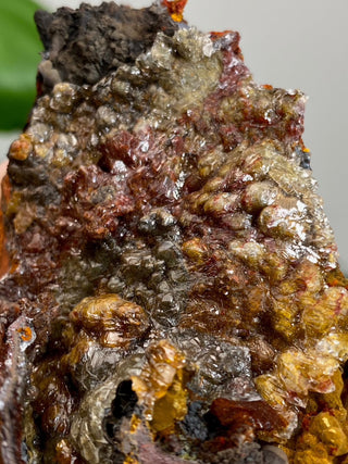 Calcite over Goethite and Limonite | Santa Eulalia, Mexico | G2 from Curious Muse Crystals Tagged with black, brown, calcite, crystal energy, goethite, hide-notify-btn, limonite, mexico, red, reiki healing, santa eulalia, yellow
