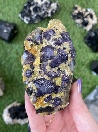 Erongo Fluorite with Tourmaline - High Grade from Curious Muse Crystals Tagged with black, erongo, fine mineral, fluorite, hide-notify-btn, namibia, purple, raw, tourmaline