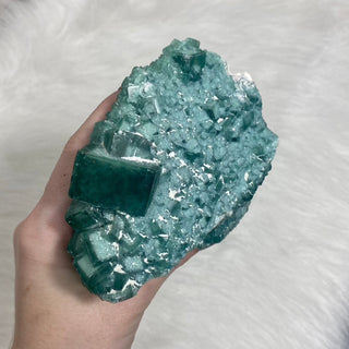 Cubic Green Fluorite with Phantoms from Madagascar from Curious Muse Crystals Tagged with crystal energy, cubic, fluorescence, fluorite, green, hide-notify-btn, madagascar, reiki healing