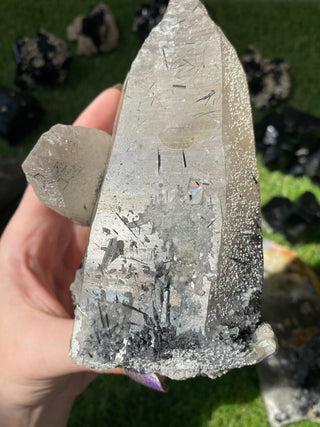 Quartz with Tourmaline from Madagascar - High Grade Collector Mineral from Curious Muse Crystals Tagged with black, clear, clear quartz, crystal energy, fine mineral, hide-notify-btn, inclusion quartz, Madagascar, quartz, reiki healing, tourmaline