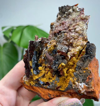 Calcite over Goethite and Limonite | Santa Eulalia, Mexico | G2 from Curious Muse Crystals Tagged with black, brown, calcite, crystal energy, goethite, hide-notify-btn, limonite, mexico, red, reiki healing, santa eulalia, yellow