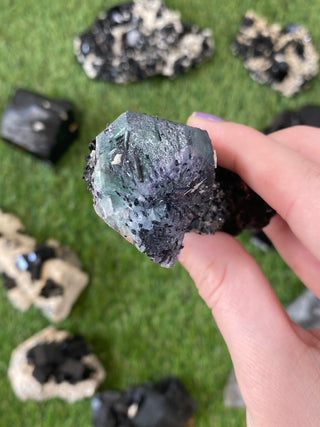 Erongo Fluorite with Tourmaline - High Grade from Curious Muse Crystals Tagged with black, erongo, fine mineral, fluorite, green, hide-notify-btn, namibia, raw, tourmaline
