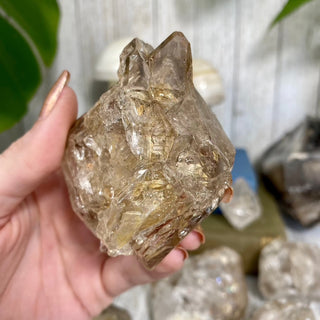Elestial Fenster Quartz from Mexico | Self-Discovery from Curious Muse Crystals Tagged with clear, double terminated, elestial, enhydro, fenster, hide-notify-btn, mexico, quartz, yellow