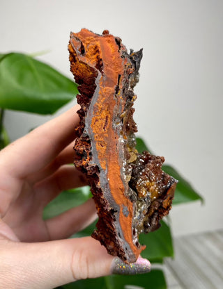Calcite over Goethite and Limonite | Santa Eulalia, Mexico | G2 from Curious Muse Crystals Tagged with black, brown, calcite, crystal energy, goethite, hide-notify-btn, limonite, mexico, red, reiki healing, santa eulalia, yellow