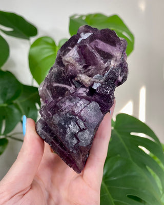 Múzquiz Fluorite with Unique Phantoms from Muzquiz, Mexico from Curious Muse Crystals Tagged with fluorescence, fluorite, hide-notify-btn, mexico, muzquiz fluorite, purple, raw crystal, uv reactive