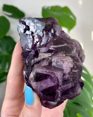 Múzquiz Fluorite with Unique Phantoms from Muzquiz, Mexico from Curious Muse Crystals Tagged with fluorescence, fluorite, hide-notify-btn, mexico, muzquiz fluorite, purple, raw crystal, uv reactive