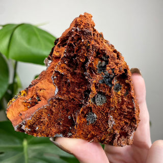 Calcite over Goethite and Limonite | Santa Eulalia, Mexico | G3 from Curious Muse Crystals Tagged with black, brown, calcite, crystal energy, goethite, hide-notify-btn, limonite, mexico, red, reiki healing, santa eulalia, yellow