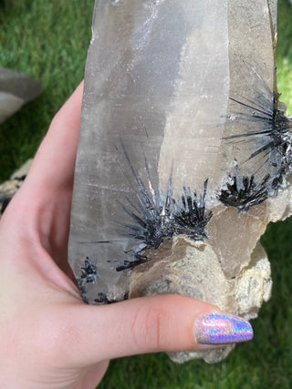 Quartz with Tourmaline from Madagascar - High Grade Collector Mineral from Curious Muse Crystals Tagged with black, clear, clear quartz, crystal energy, fine mineral, hide-notify-btn, inclusion quartz, Madagascar, quartz, reiki healing, tourmaline