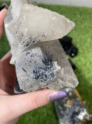 Quartz with Tourmaline from Madagascar - High Grade Collector Mineral from Curious Muse Crystals Tagged with black, clear, clear quartz, crystal energy, fine mineral, hide-notify-btn, inclusion quartz, Madagascar, quartz, reiki healing, tourmaline