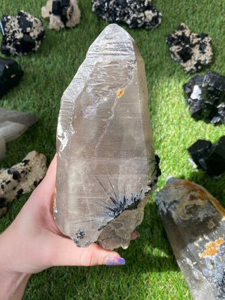 Quartz with Tourmaline from Madagascar - High Grade Collector Mineral from Curious Muse Crystals Tagged with black, clear, clear quartz, crystal energy, fine mineral, hide-notify-btn, inclusion quartz, Madagascar, quartz, reiki healing, tourmaline