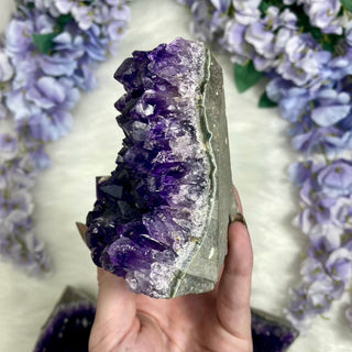 Amethyst Cut Base Geode | Uruguay from Curious Muse Crystals Tagged with amethyst, amethyst cluster, geode, home decor stone, purple, raw mineral, uruguay