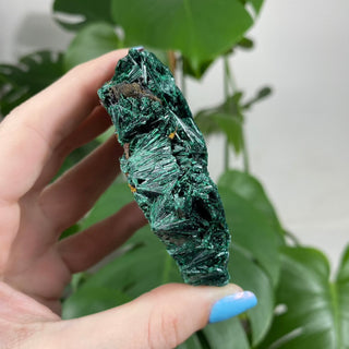 Velvet Malachite Cluster | Fibrous Green Copper Based Crystal from Curious Muse Crystals Tagged with Copper Stone, Crystal Healing, Dark Green Stone, Genuine Crystal, green, Hearth Chakra, hide-notify-btn, Malachite, Manifestation, Mineral Collection, Natural Mineral, Prosperity Wealth, Raw Mineral, Reiki Healing
