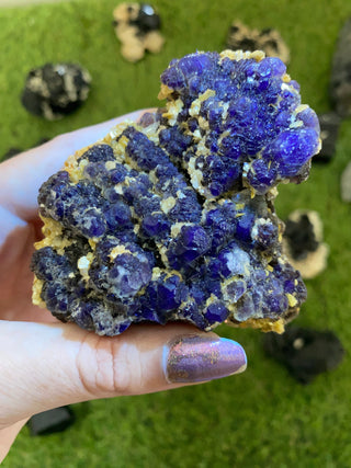 Erongo Fluorite with Tourmaline - High Grade from Curious Muse Crystals Tagged with black, erongo, fine mineral, fluorite, hide-notify-btn, namibia, purple, raw, tourmaline