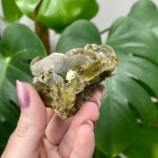 Siderite with Chalcopyrite from Kaiwu Mine, China from Curious Muse Crystals Tagged with brown, chalcopyrite, hide-notify-btn, raw mineral, siderite, yellow