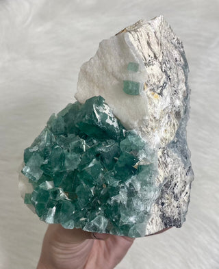 Cubic Green Fluorite from Madagascar from Curious Muse Crystals Tagged with crystal energy, cubic, fluorescence, fluorite, green, hide-notify-btn, madagascar, reiki healing