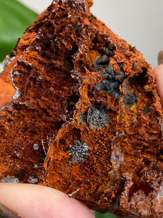 Calcite over Goethite and Limonite | Santa Eulalia, Mexico | G3 from Curious Muse Crystals Tagged with black, brown, calcite, crystal energy, goethite, hide-notify-btn, limonite, mexico, red, reiki healing, santa eulalia, yellow