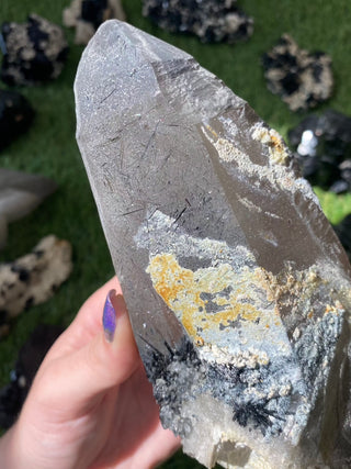 Quartz with Tourmaline from Madagascar - High Grade Collector Mineral from Curious Muse Crystals Tagged with black, clear, clear quartz, crystal energy, fine mineral, hide-notify-btn, inclusion quartz, Madagascar, quartz, reiki healing, tourmaline