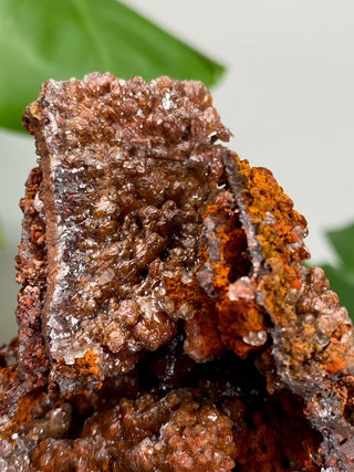 Calcite over Goethite and Limonite | Santa Eulalia, Mexico | G1 from Curious Muse Crystals Tagged with black, brown, calcite, crystal energy, goethite, hide-notify-btn, limonite, mexico, red, reiki healing, santa eulalia, yellow