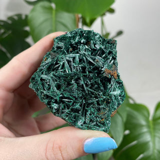 Velvet Malachite Cluster | Fibrous Green Copper Based Crystal from Curious Muse Crystals Tagged with Copper Stone, Crystal Healing, Dark Green Stone, Genuine Crystal, green, Hearth Chakra, hide-notify-btn, Malachite, Manifestation, Mineral Collection, Natural Mineral, Prosperity Wealth, Raw Mineral, Reiki Healing