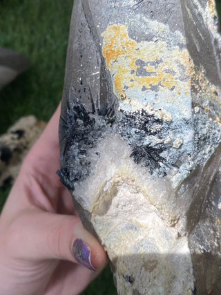 Quartz with Tourmaline from Madagascar - High Grade Collector Mineral from Curious Muse Crystals Tagged with black, clear, clear quartz, crystal energy, fine mineral, hide-notify-btn, inclusion quartz, Madagascar, quartz, reiki healing, tourmaline