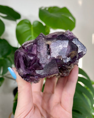 Múzquiz Fluorite with Unique Phantoms from Muzquiz, Mexico from Curious Muse Crystals Tagged with fluorescence, fluorite, hide-notify-btn, mexico, muzquiz fluorite, purple, raw crystal, uv reactive