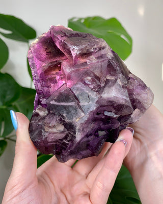 Múzquiz Fluorite with Unique Phantoms from Muzquiz, Mexico from Curious Muse Crystals for 346.00. Tagged with fluorescence, fluorite, hide-notify-btn, mexico, muzquiz fluorite, purple, raw crystal, uv reactive