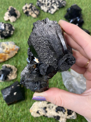 Erongo Black Tourmaline Foitite Raw Cluster | High Grade from Curious Muse Crystals for 333. Tagged with black, erongo, fine mineral, foitite, hide-notify-btn, namibia, raw, tourmaline