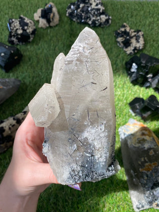 Quartz with Tourmaline from Madagascar - High Grade Collector Mineral from Curious Muse Crystals Tagged with black, clear, clear quartz, crystal energy, fine mineral, hide-notify-btn, inclusion quartz, Madagascar, quartz, reiki healing, tourmaline