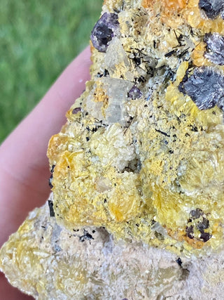 Erongo Fluorite with Tourmaline - High Grade from Curious Muse Crystals Tagged with black, erongo, fine mineral, fluorite, hide-notify-btn, namibia, purple, raw, tourmaline