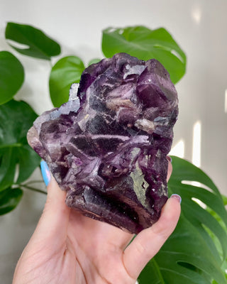 Múzquiz Fluorite with Unique Phantoms from Muzquiz, Mexico from Curious Muse Crystals Tagged with fluorescence, fluorite, hide-notify-btn, mexico, muzquiz fluorite, purple, raw crystal, uv reactive