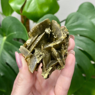 Siderite with Chalcopyrite from Kaiwu Mine, China from Curious Muse Crystals Tagged with brown, chalcopyrite, hide-notify-btn, raw mineral, siderite, yellow