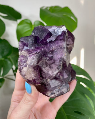 Múzquiz Fluorite with Unique Phantoms from Muzquiz, Mexico from Curious Muse Crystals Tagged with fluorescence, fluorite, hide-notify-btn, mexico, muzquiz fluorite, purple, raw crystal, uv reactive
